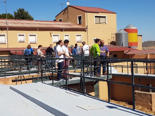 Peñas taurinas Soria